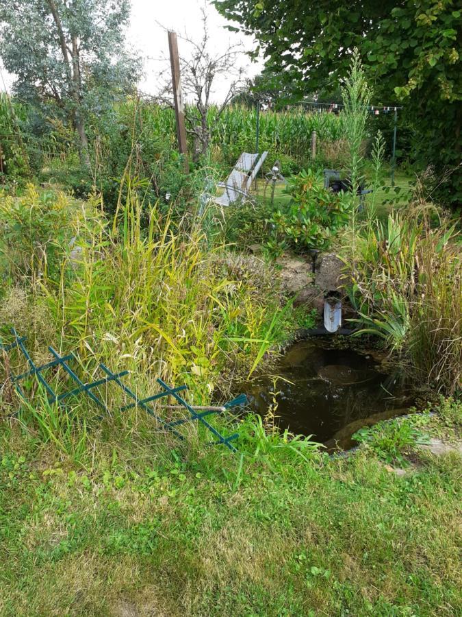 Le Gite Du Hibou Villa Ménil-Hubert-sur-Orne Exteriör bild